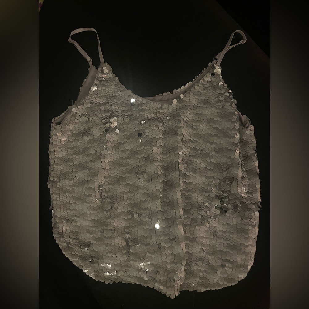 Sparkly, silver sequin top
